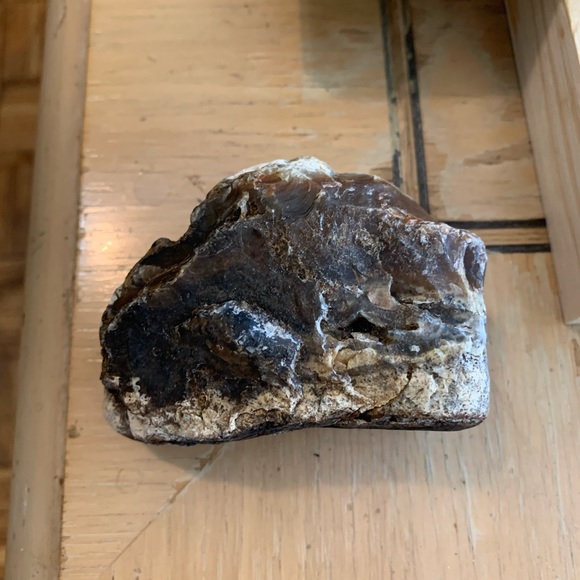 Agate petrified wood 300+ grams - Picture 7 of 7